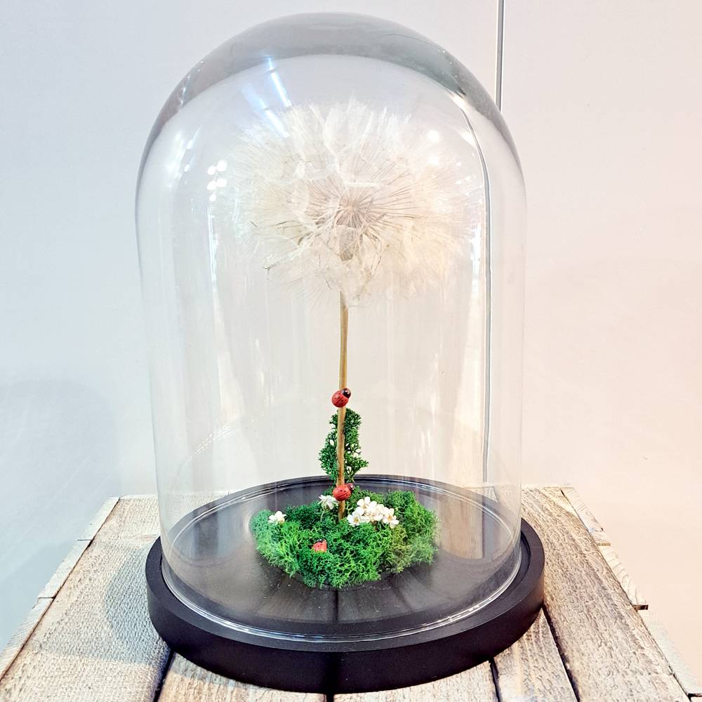 Diente de León en cúpula de cristal