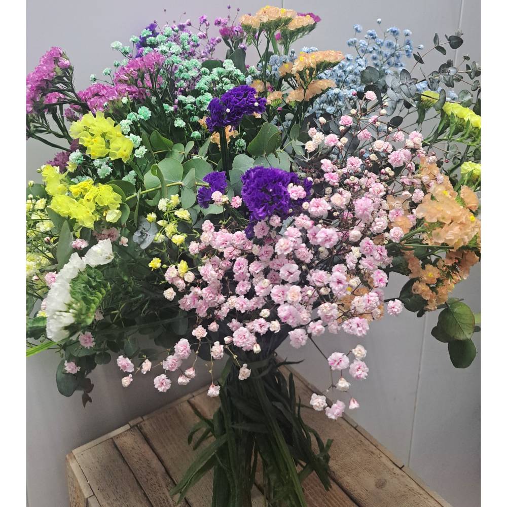 Capazo Alai - Imagen 3