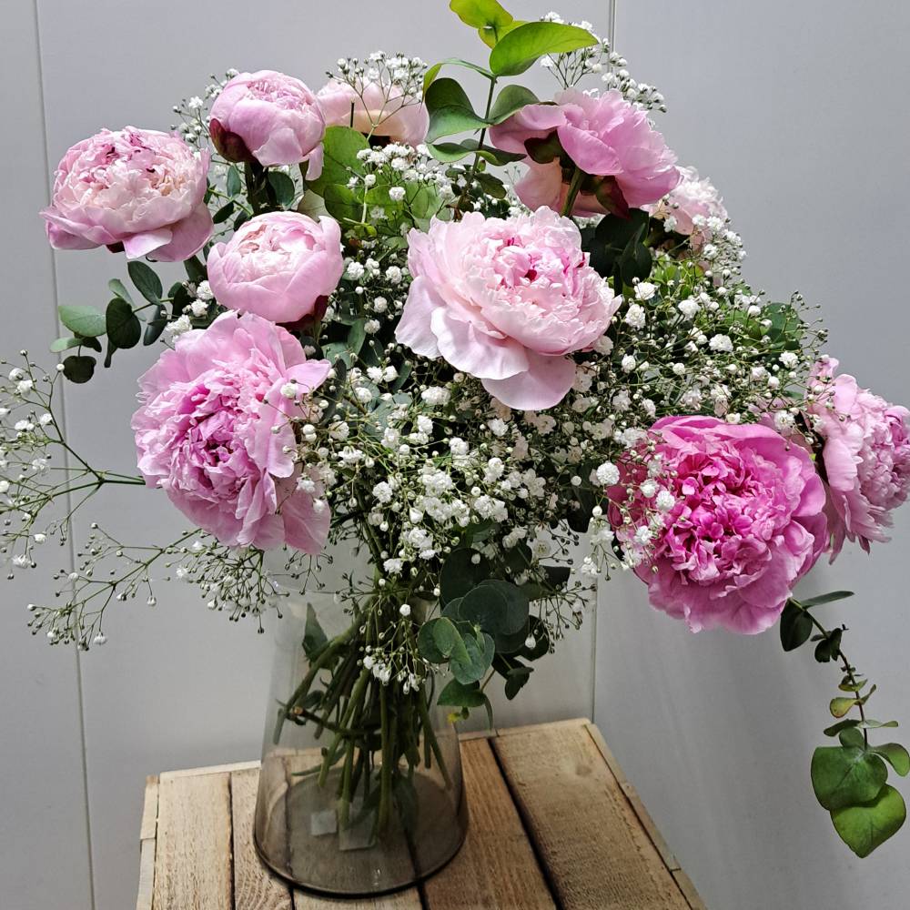 Ramo Sara - Imagen 3