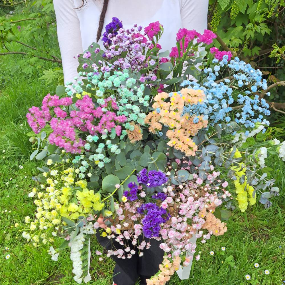 Capazo Alai - Imagen 4