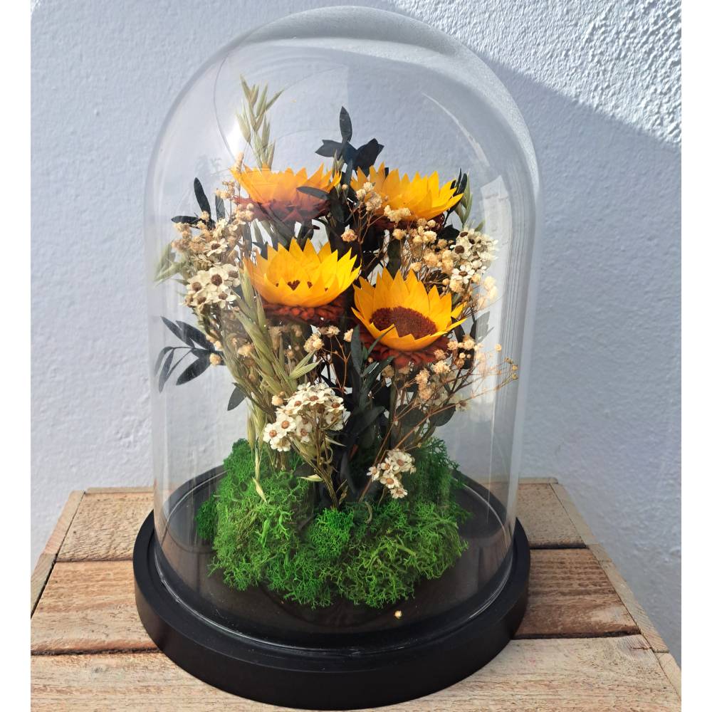 Cúpula preservada Eguzkilore