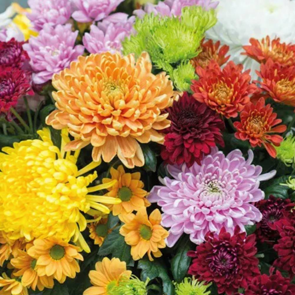 Ramo creativo de la florista, especial Todos los Santos